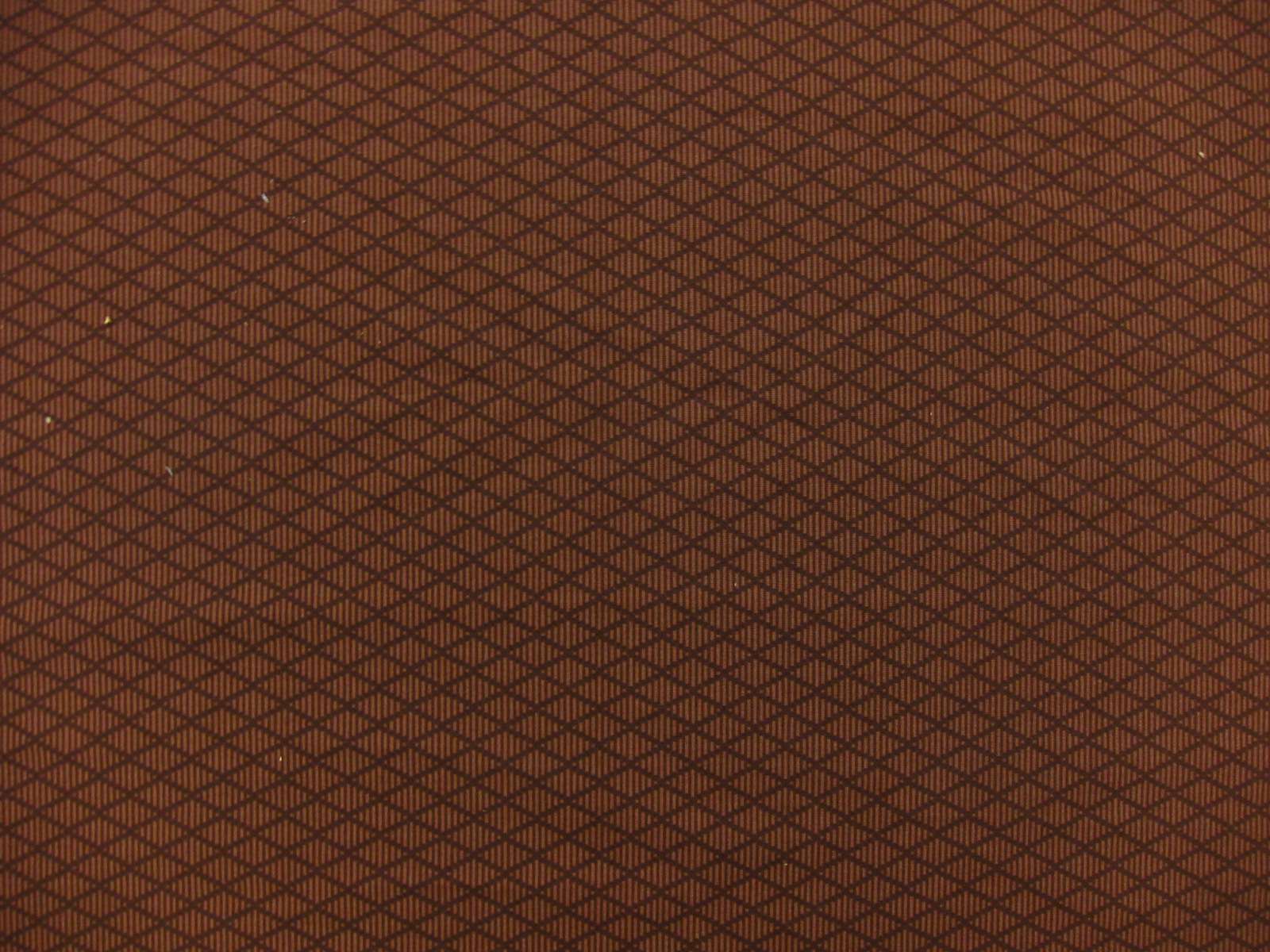 Cotton Broadcloth Print0