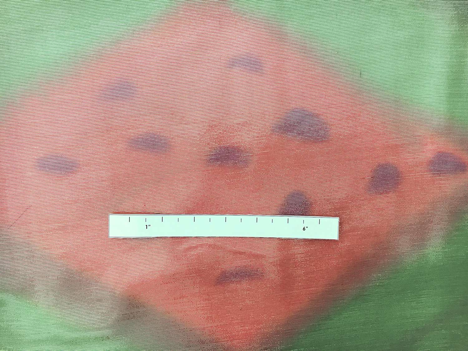 Printed Silk Lamé1