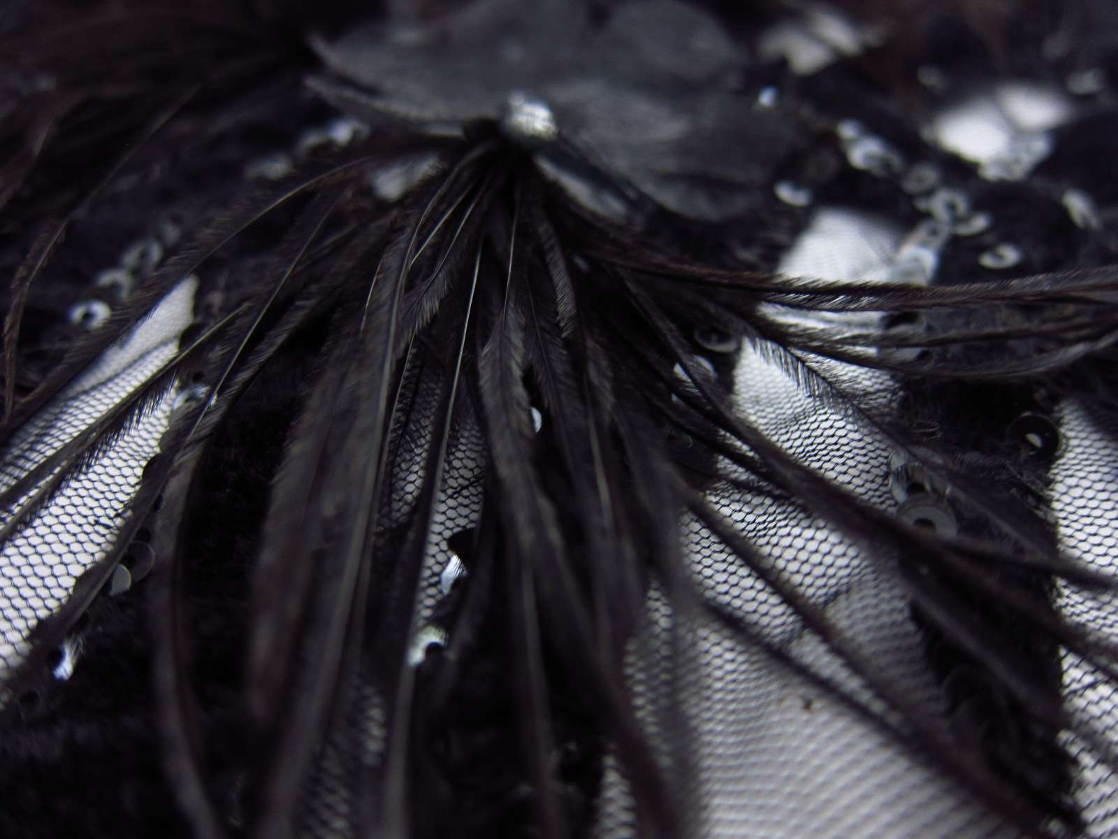 Novelty Velvet Appliquéd Illusion with Feathers2