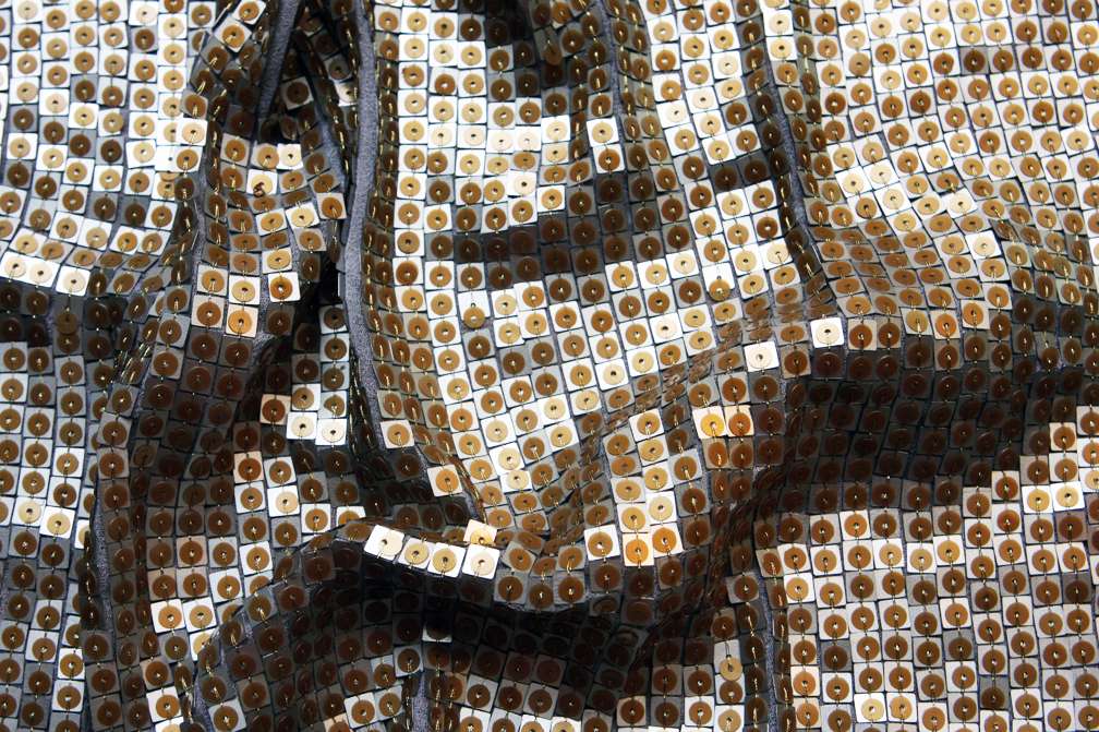 Sequins on Silk Chiffon3