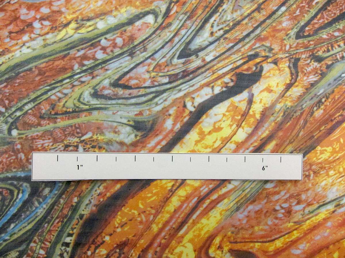 Printed Silk Chiffon2