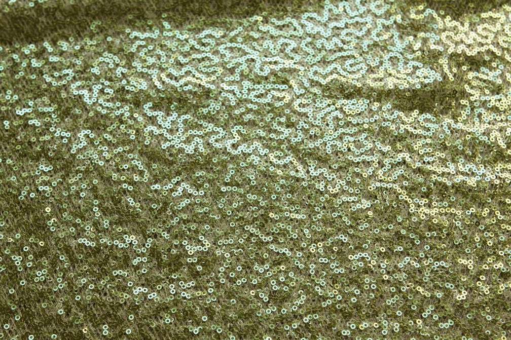 Sequins on Mesh0