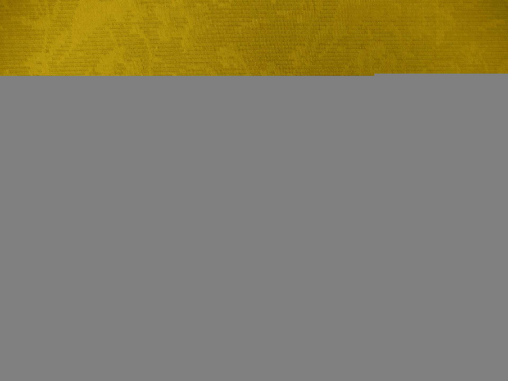 100% Silk Ottoman Brocade0
