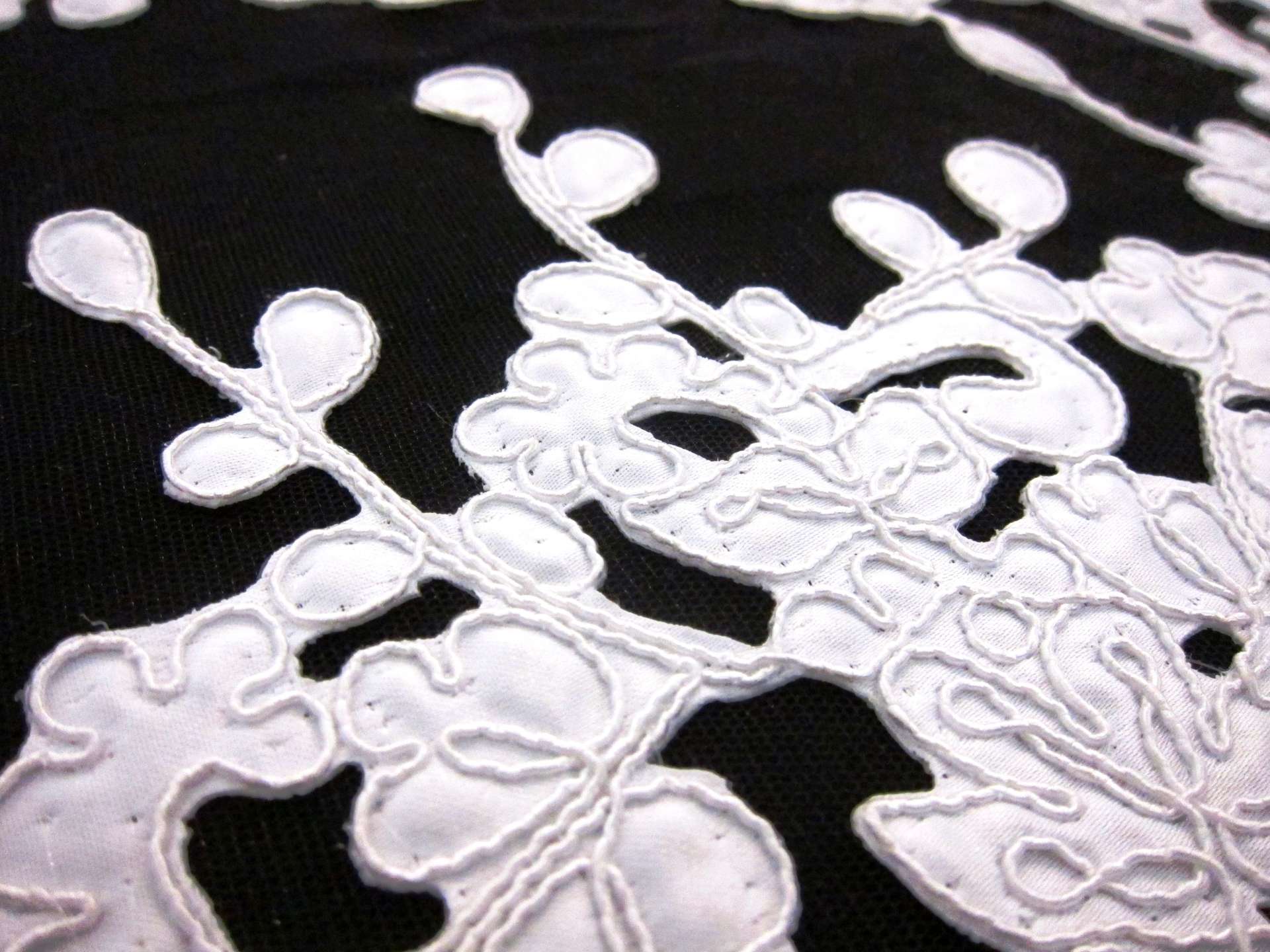 Corded Satin Appliqué on Illusion3