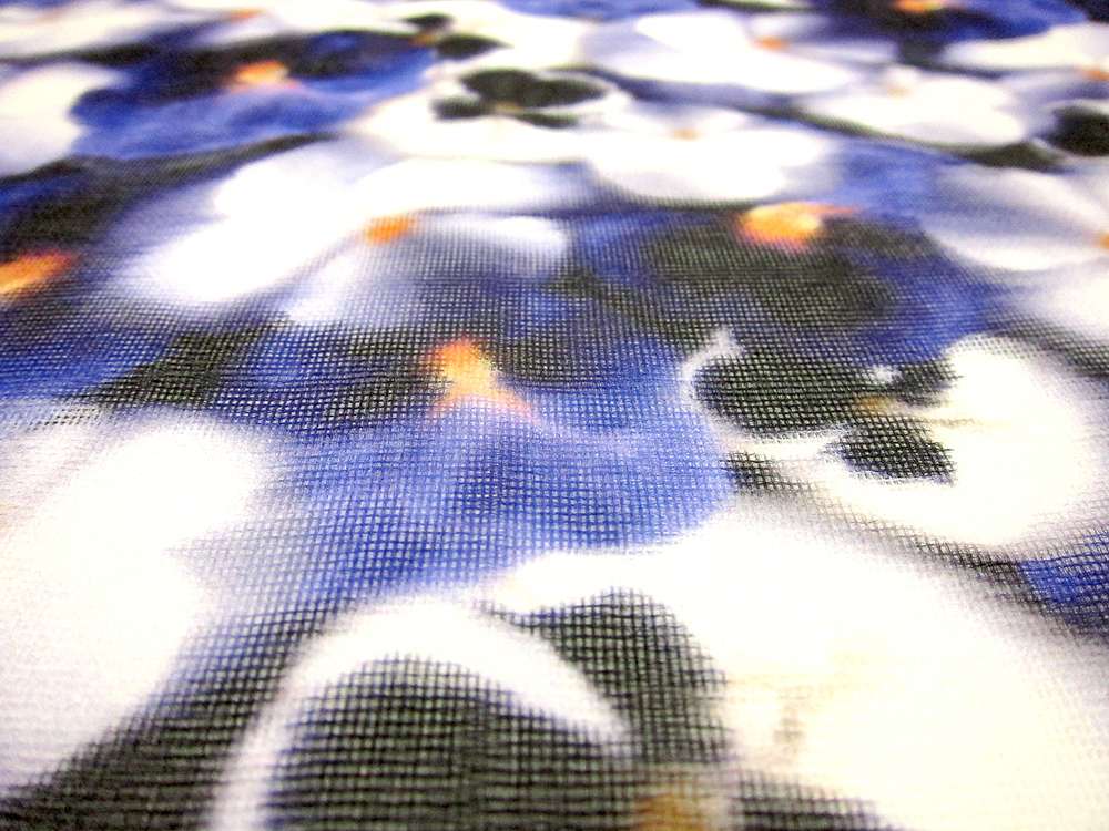 Printed Silk Gauze1