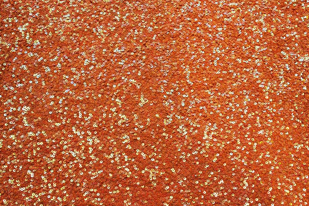 Sequins on Silk Chiffon0