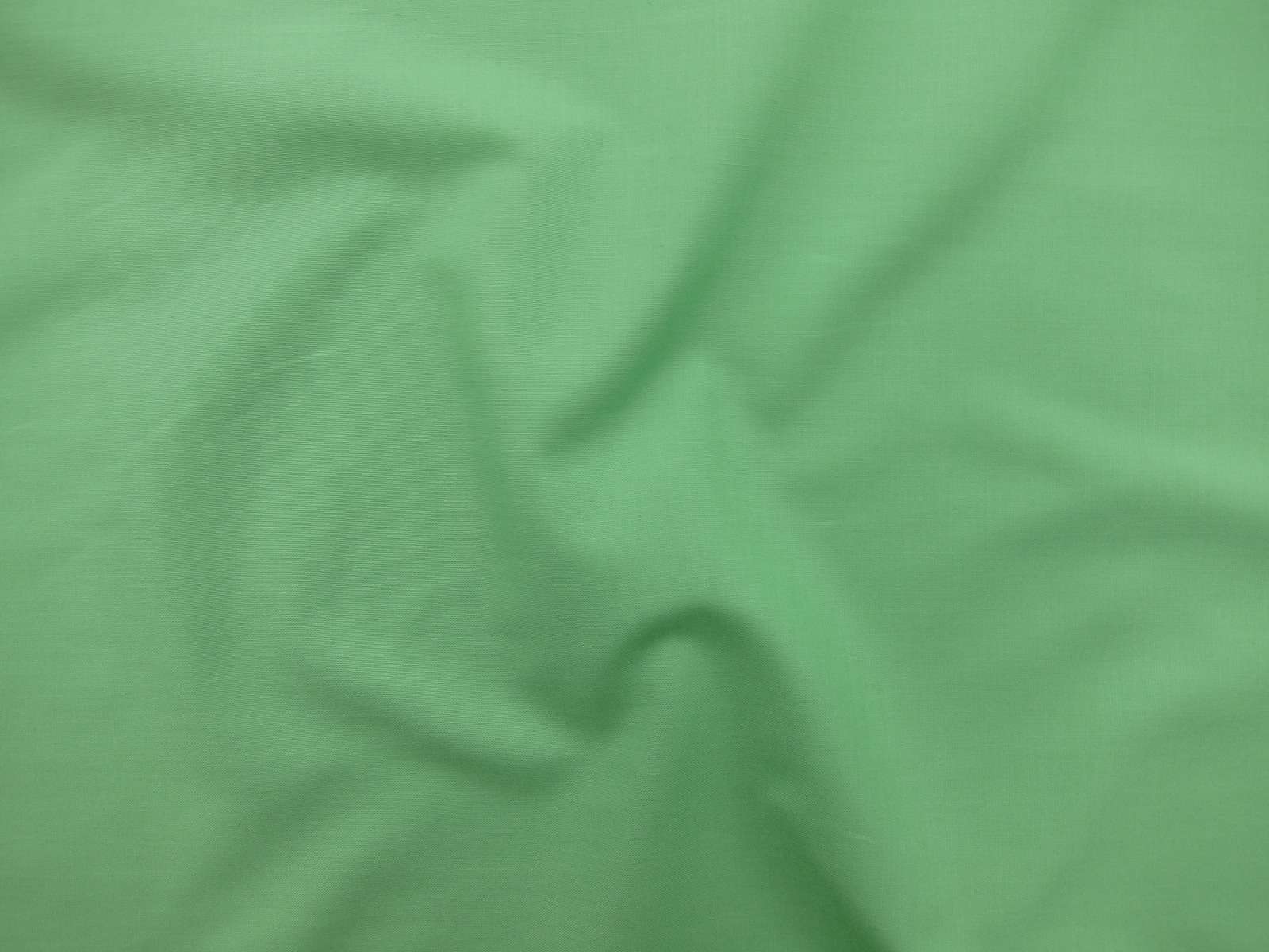 Kona Cotton in Asparagus