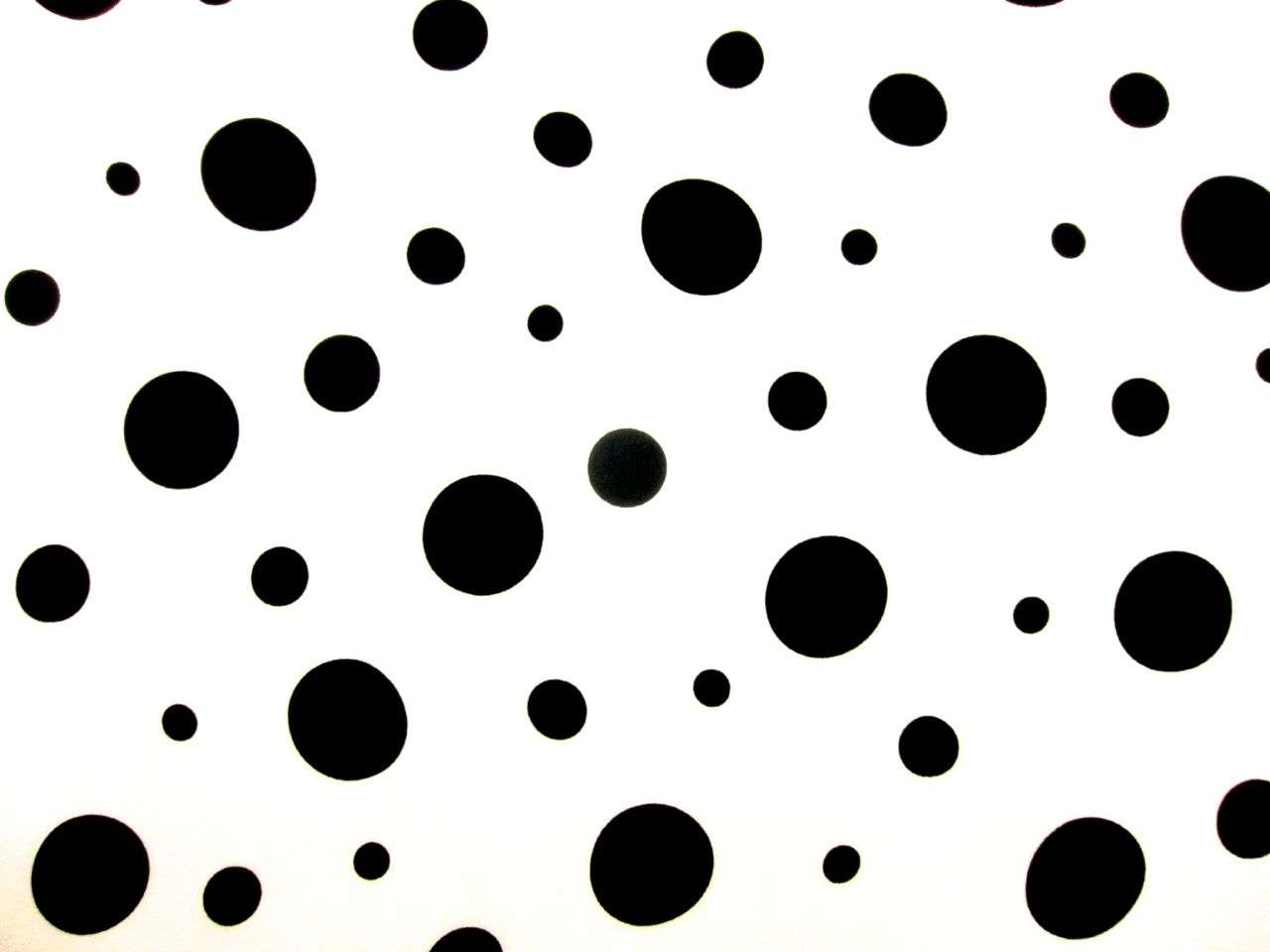 Printed Silk Charmeuse0