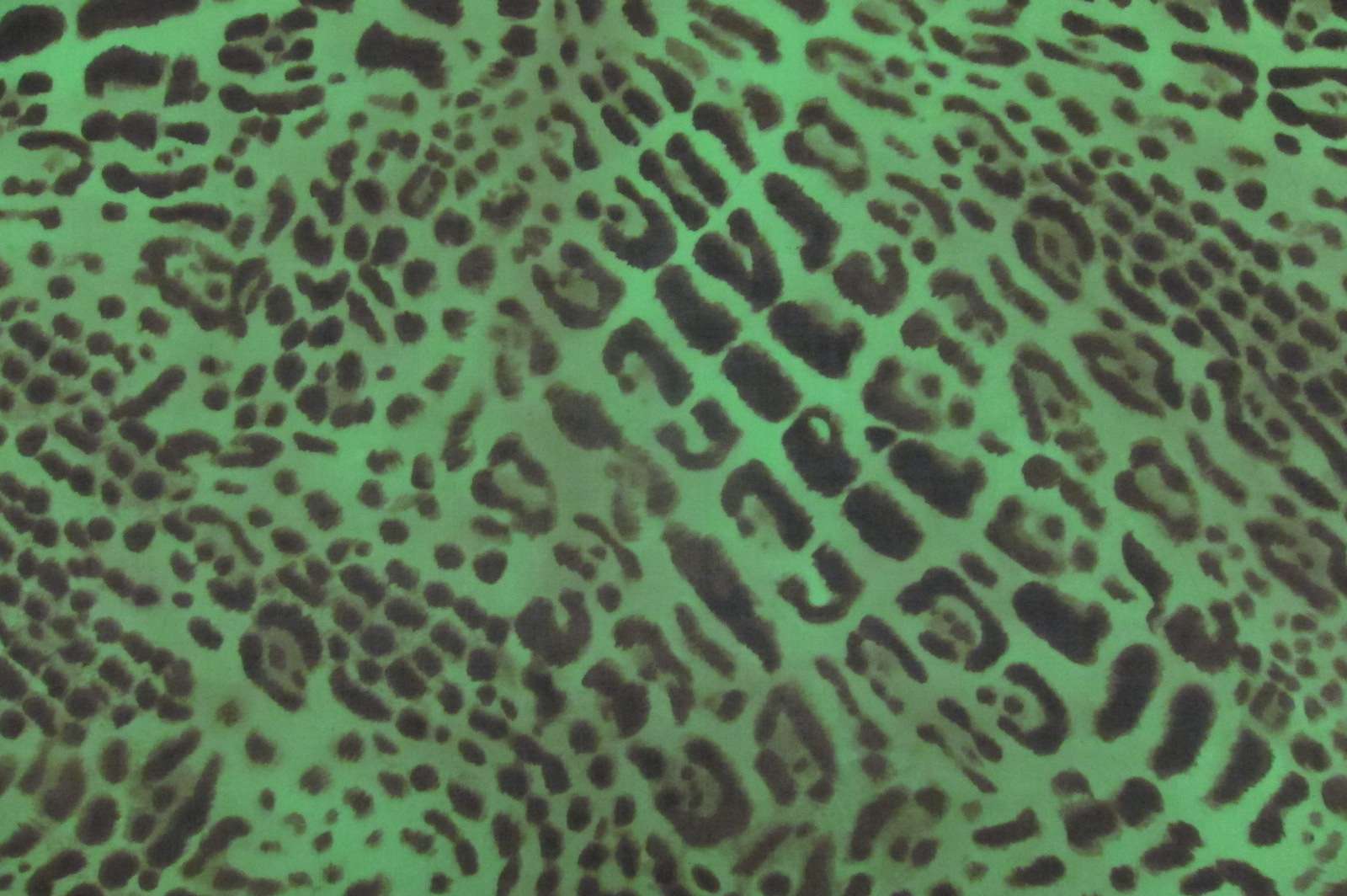 Printed Silk Chiffon0