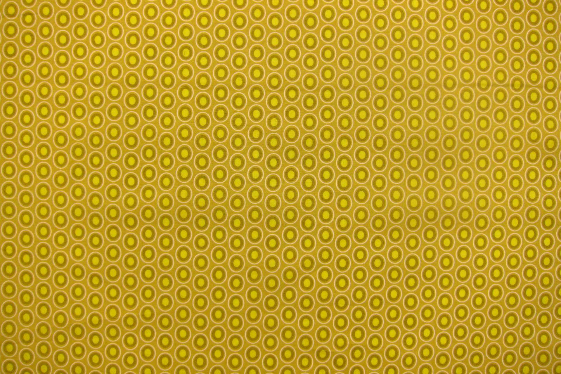 Cotton Broadcloth Print2