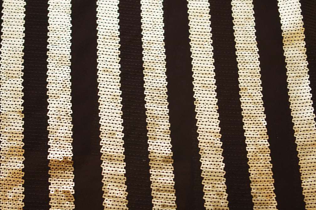Sequins on Chiffon0