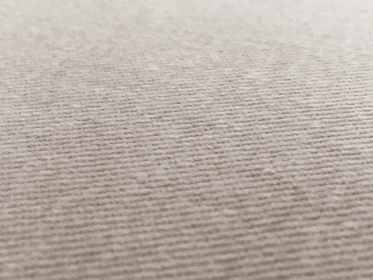 12 oz Brushed Cotton Denim in Beige