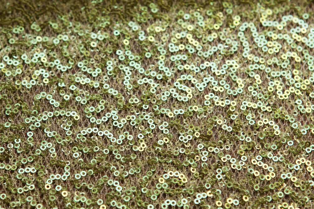 Sequins on Mesh3