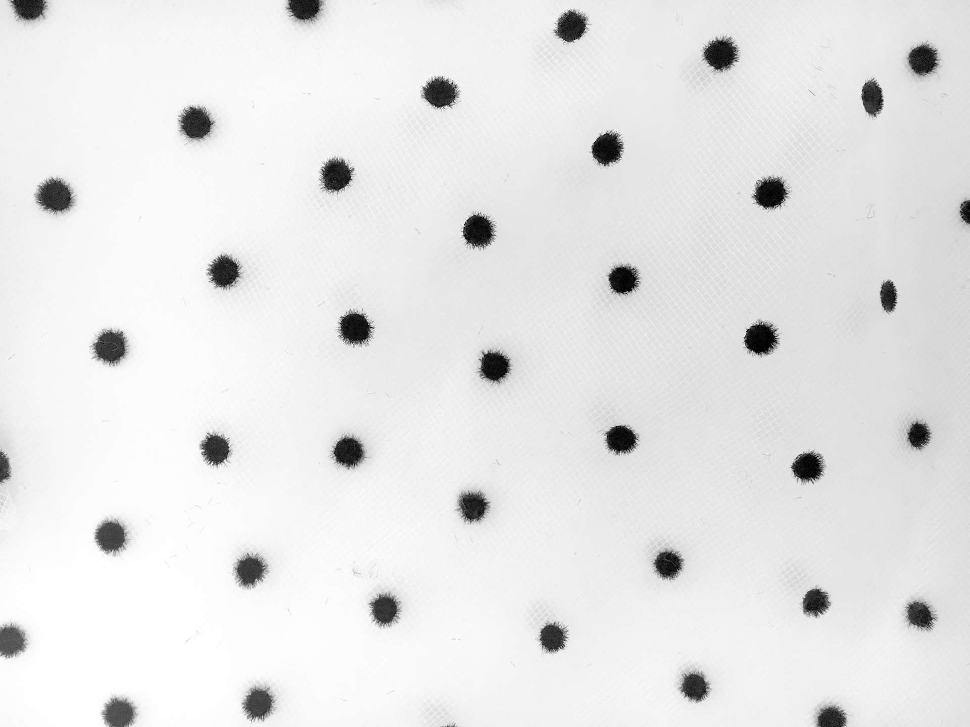 Polka Dot Flocking on Tulle2