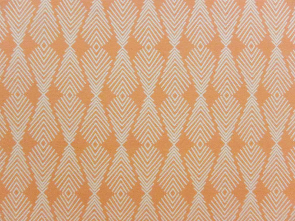 Cotton Lycra Jersey Print0