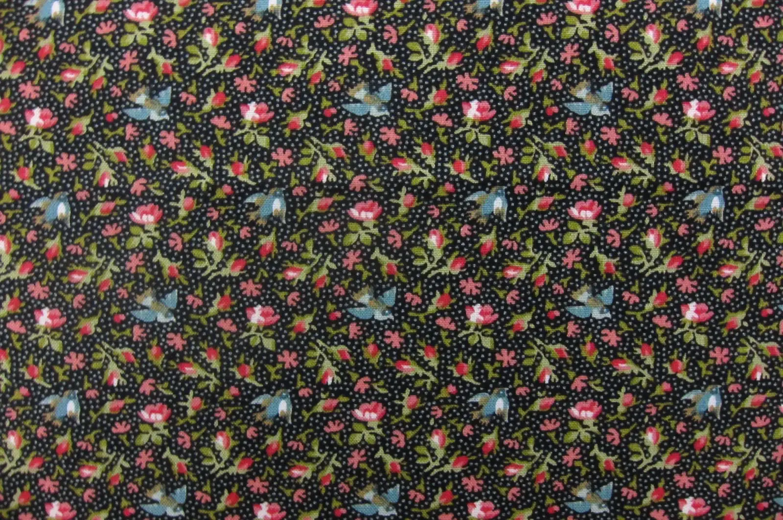 Cotton Broadcloth Print0