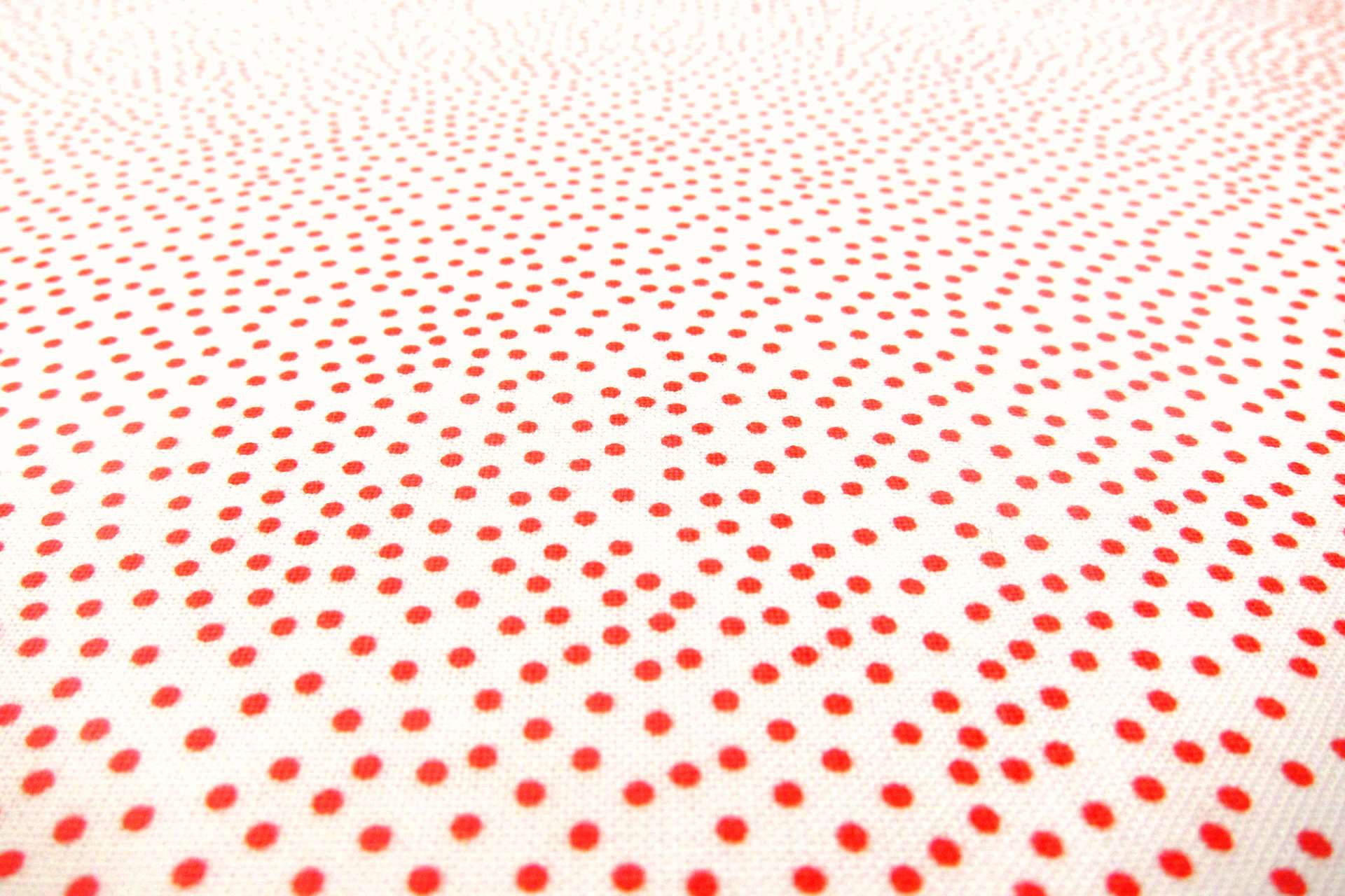 Cotton Broadcloth Print2