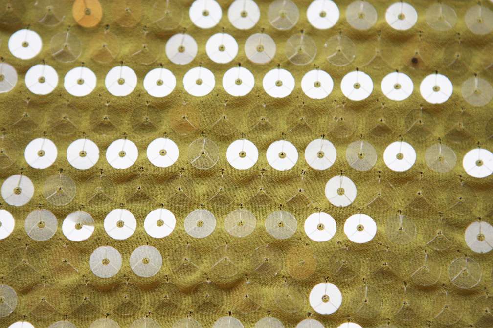 Sequins on Chiffon0