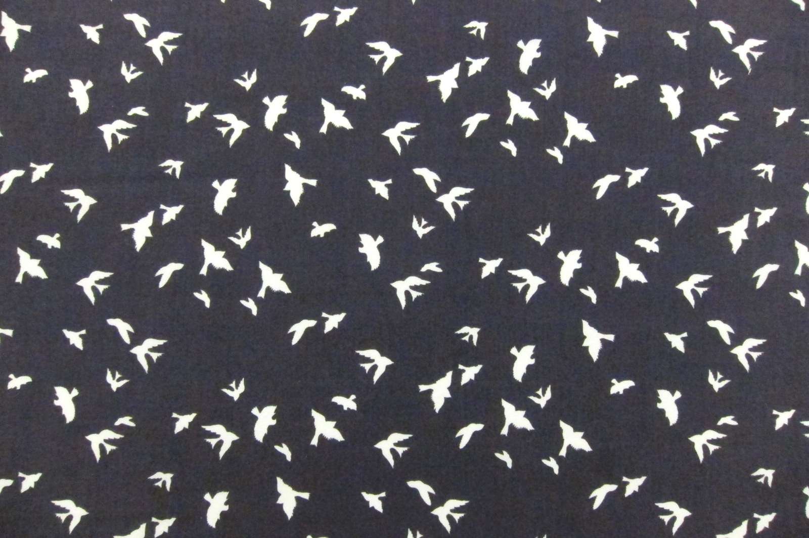 Cotton Broadcloth Print0
