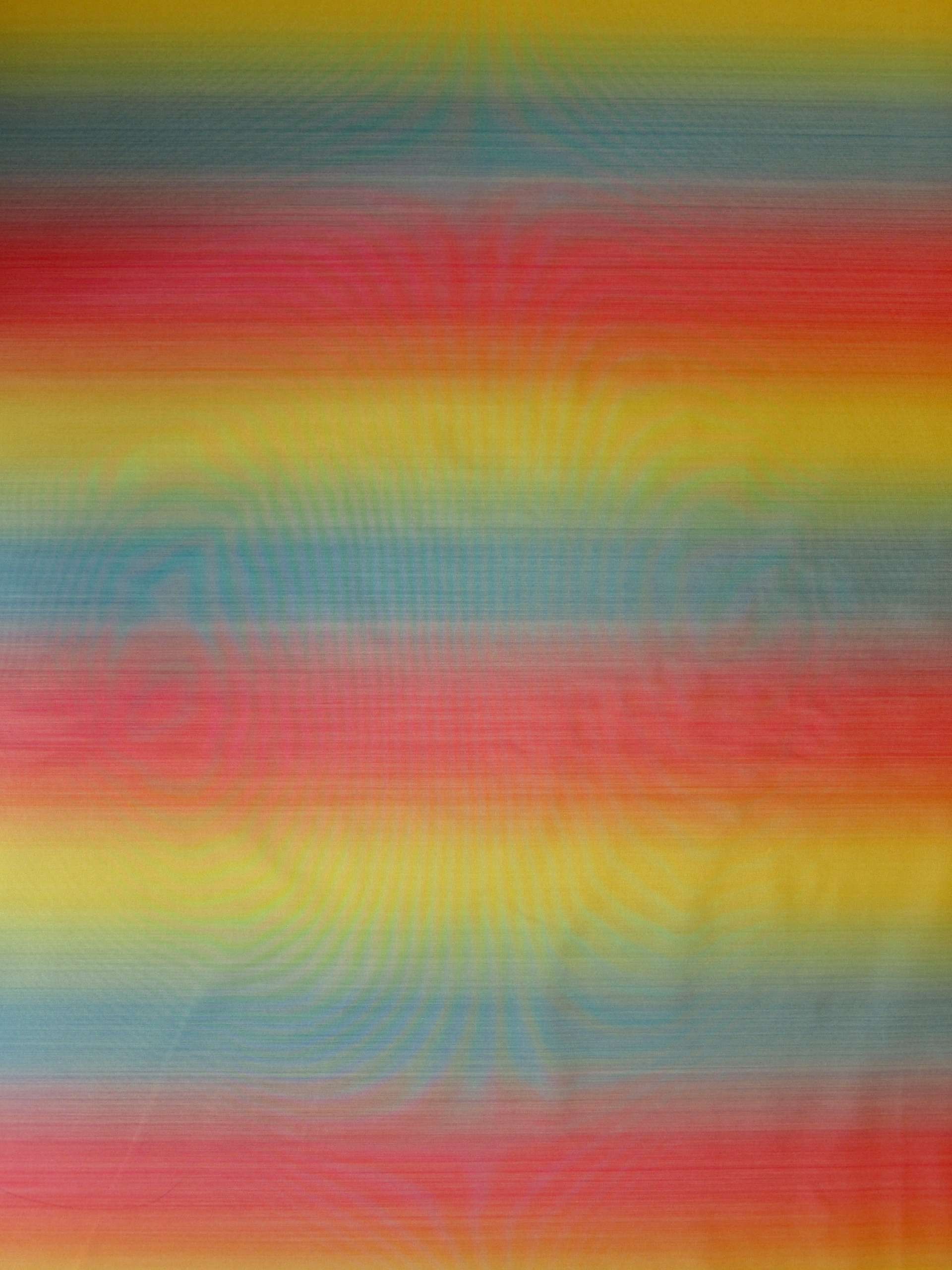 Silk Warp Printed Taffeta0