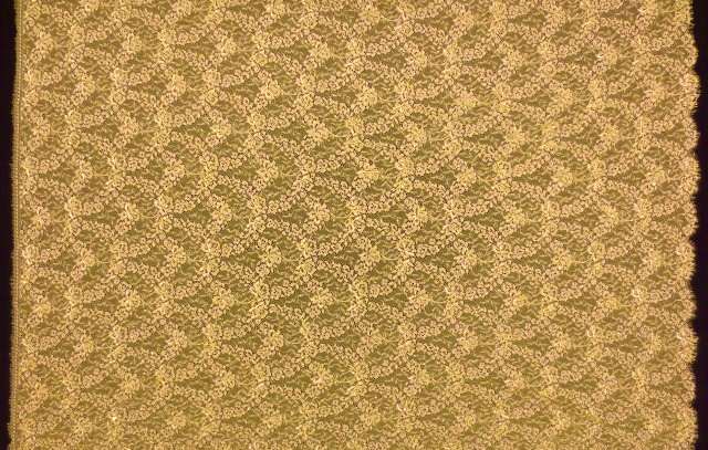 Beaded Chantilly Lace3