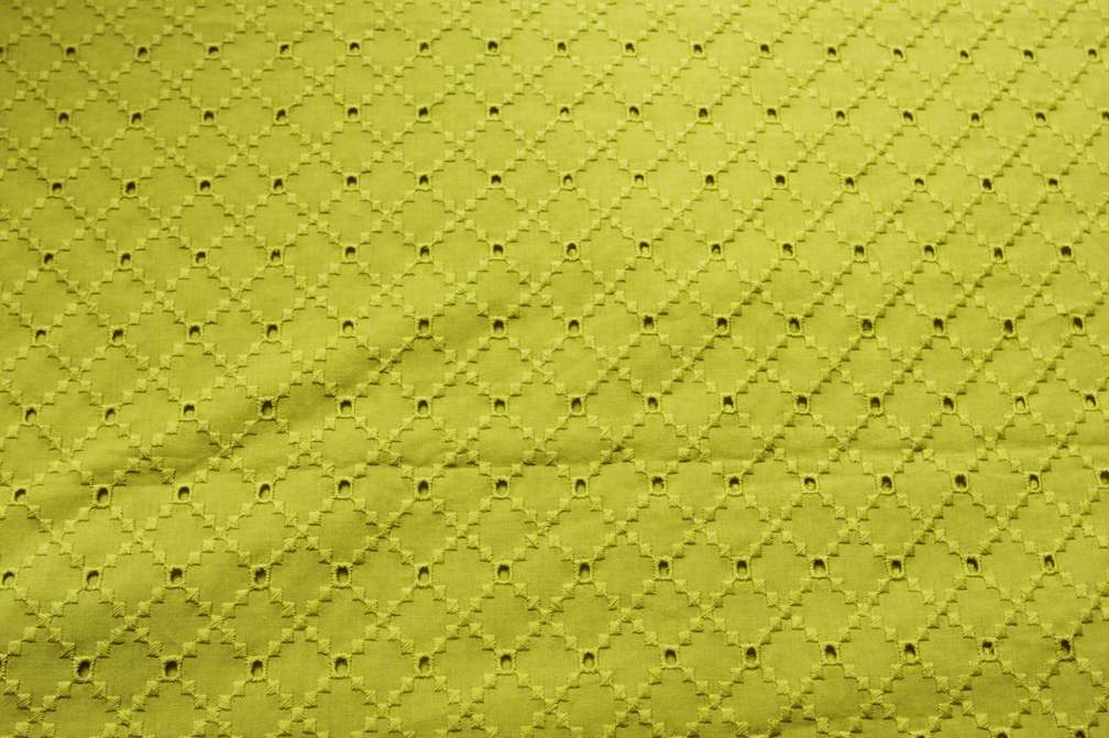 Cotton Eyelet2