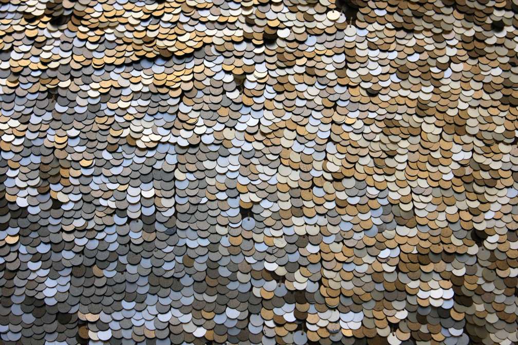 Novelty Paillettes on Silk Chiffon1