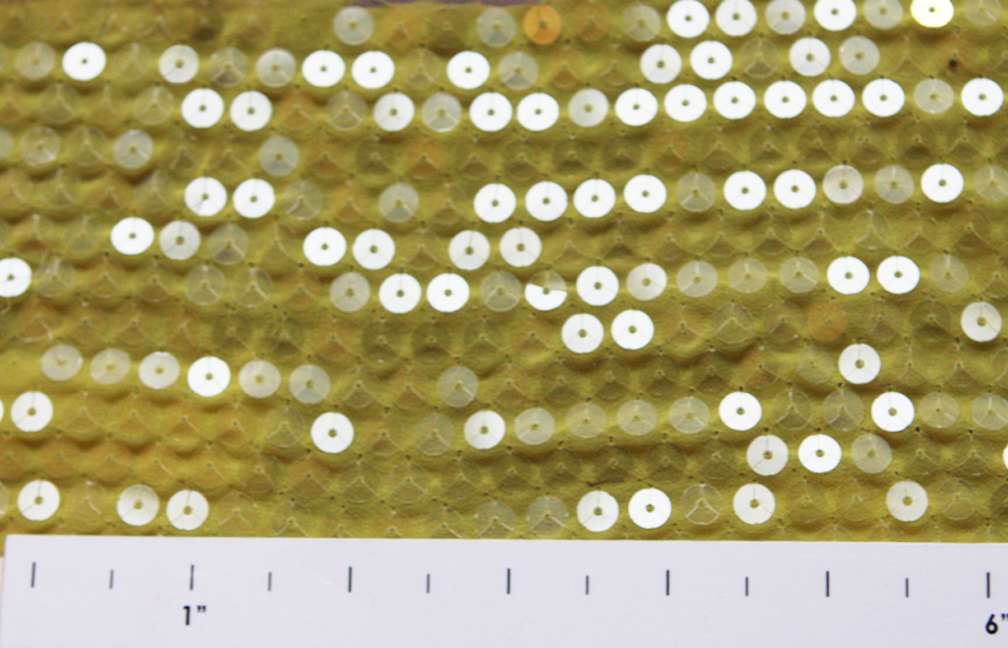 Sequins on Chiffon1