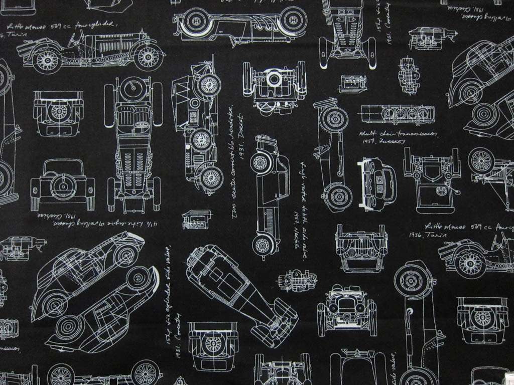 Cotton Broadcloth Print0