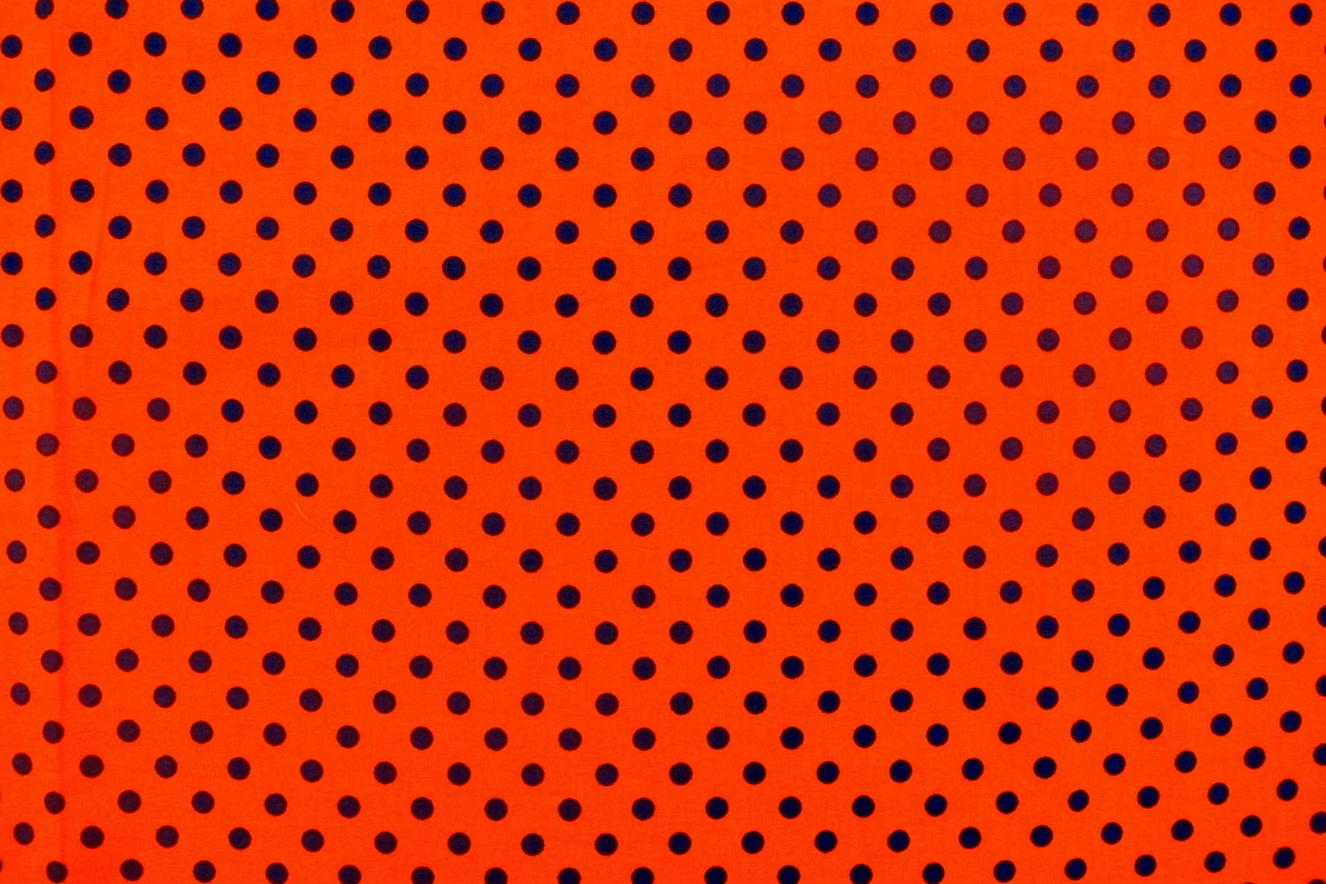Cotton Broadcloth Print
