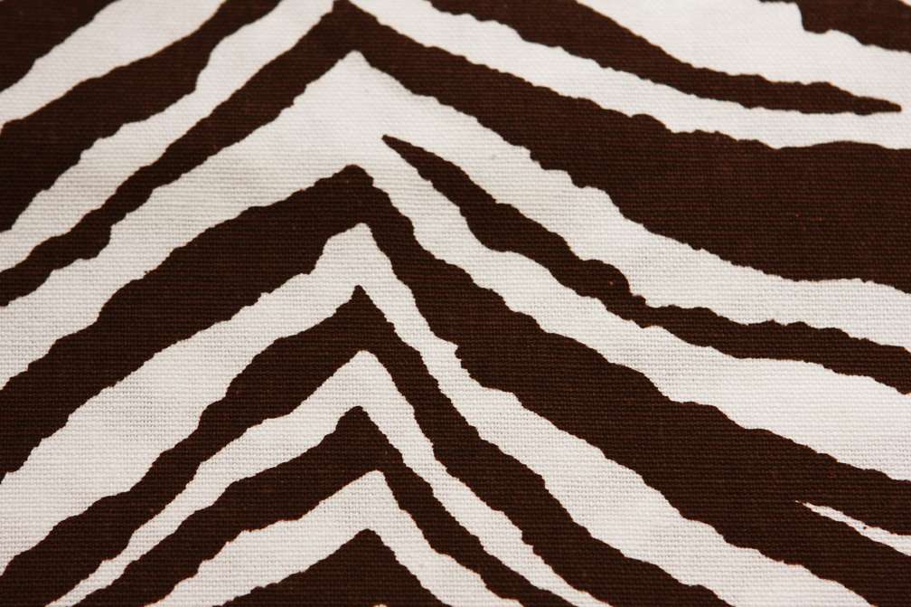 Printed Cotton Canvas2