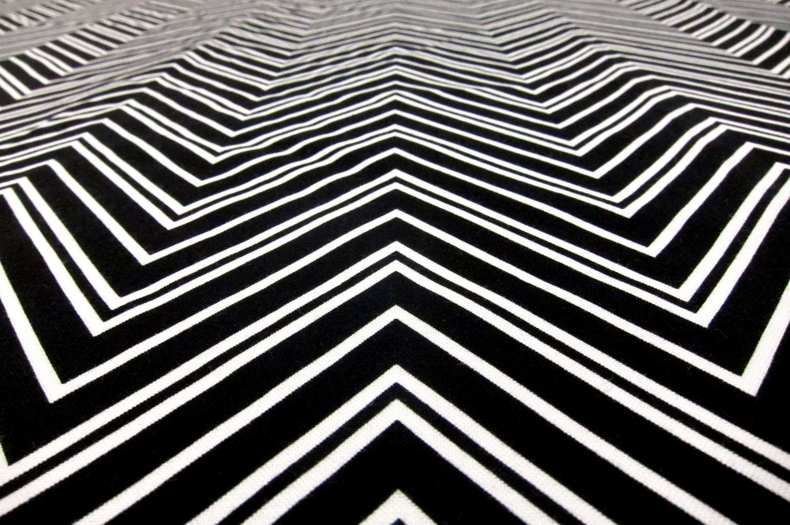 Cotton Broadcloth Print2