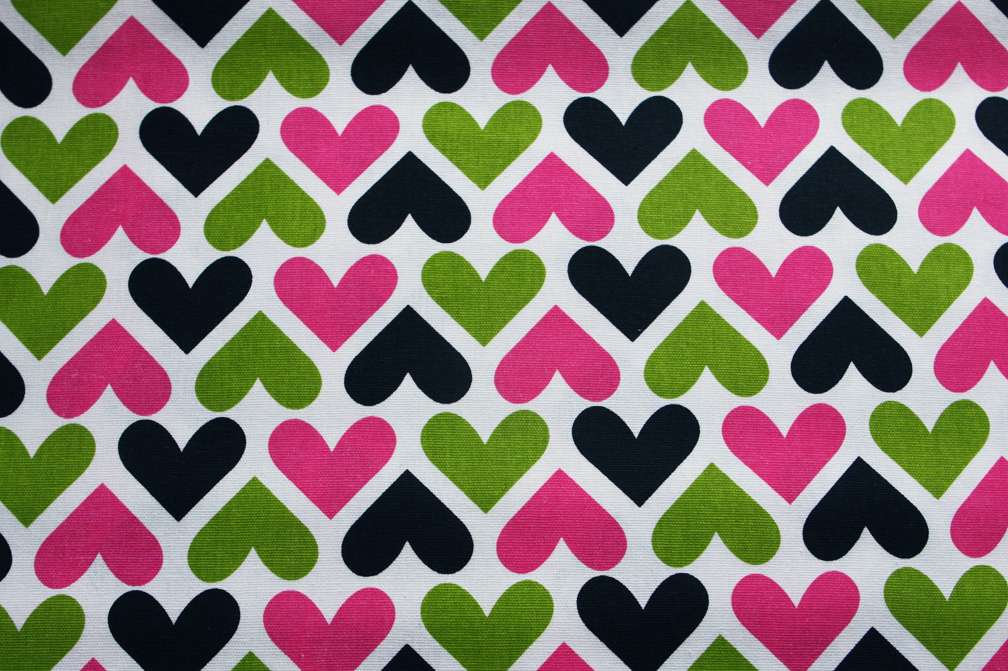 Printed Cotton Canvas0
