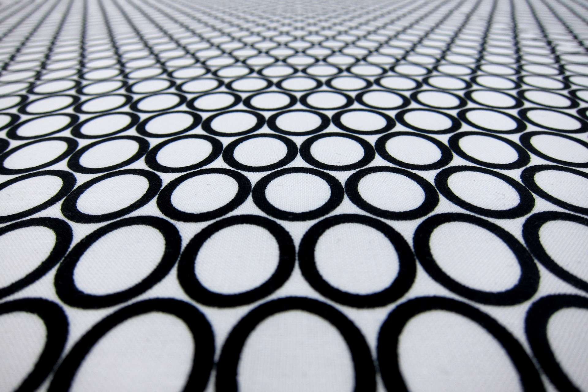Cotton Broadcloth Print2