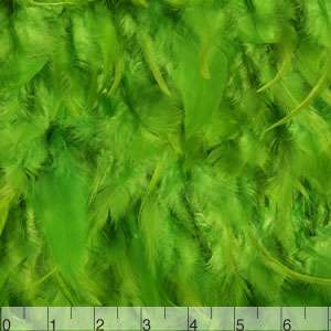 Feathers on Chiffon0