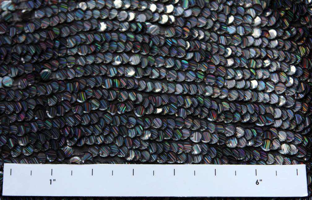 Paillettes on Silk Chiffon2