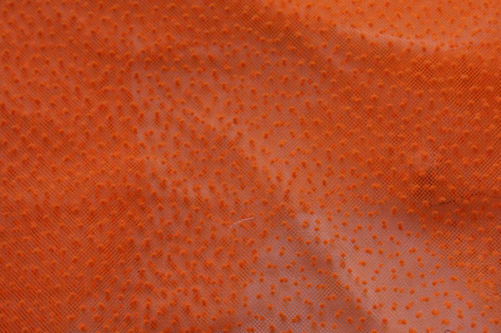 Flocking on Tulle2
