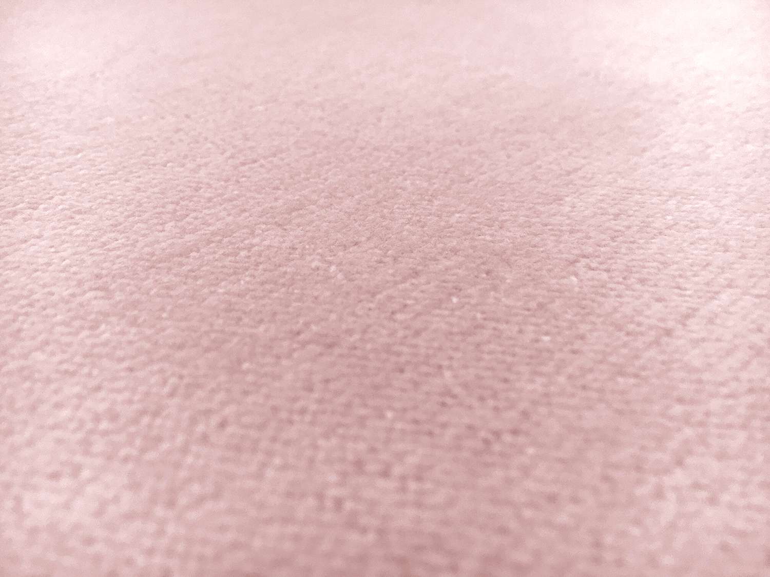 Cotton Terry Velour in Pink2