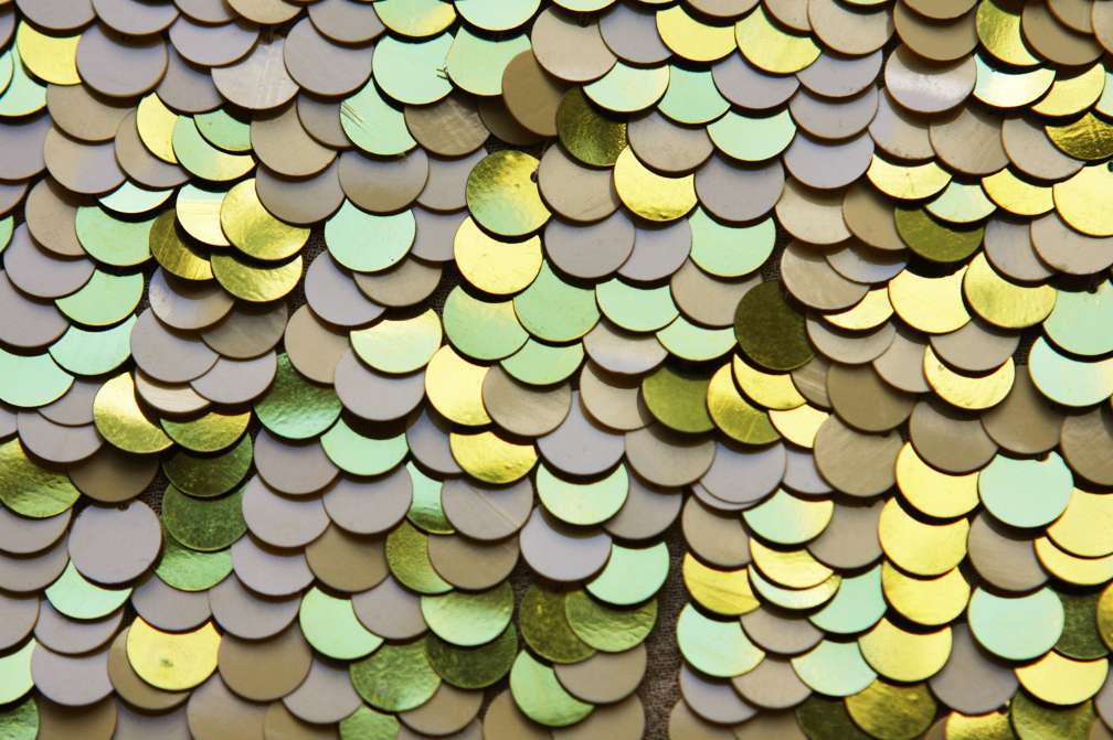 Paillettes on Silk Chiffon3