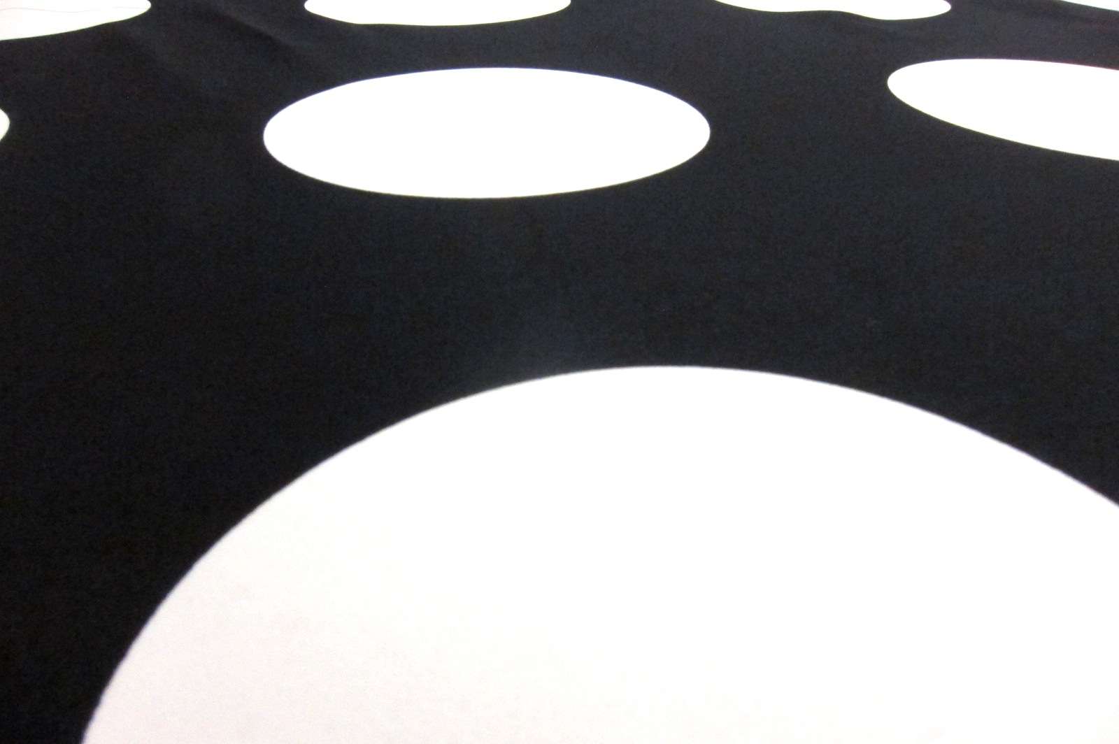 Printed Silk Charmeuse2