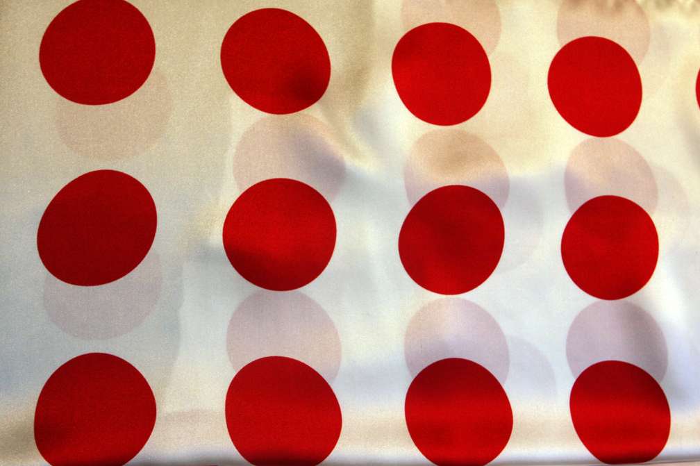 Printed Silk Charmeuse1