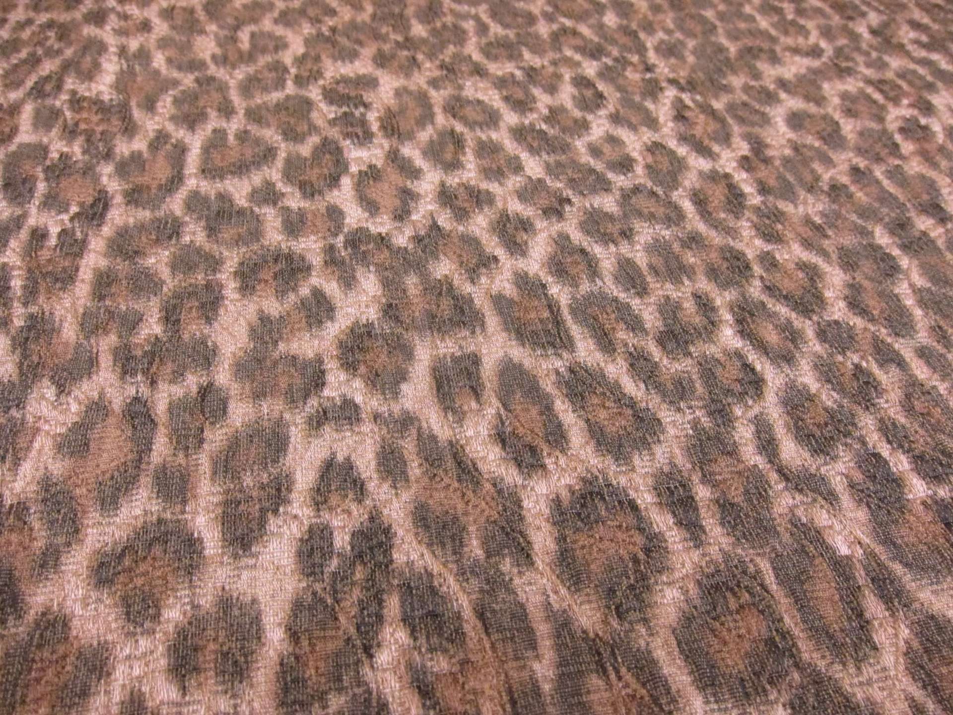  Brocade2