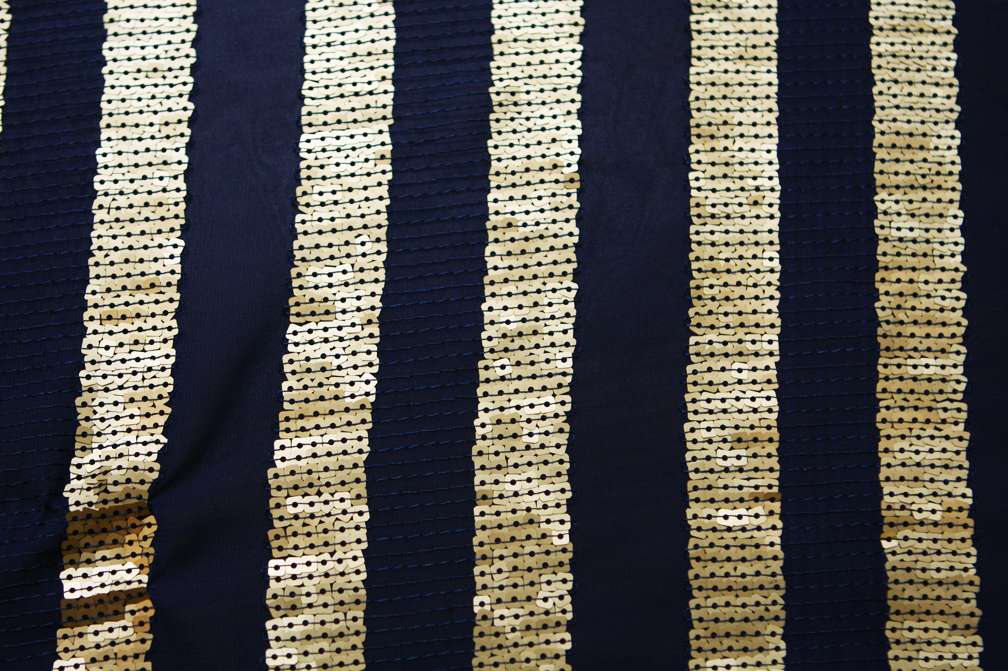 Sequins on Chiffon0