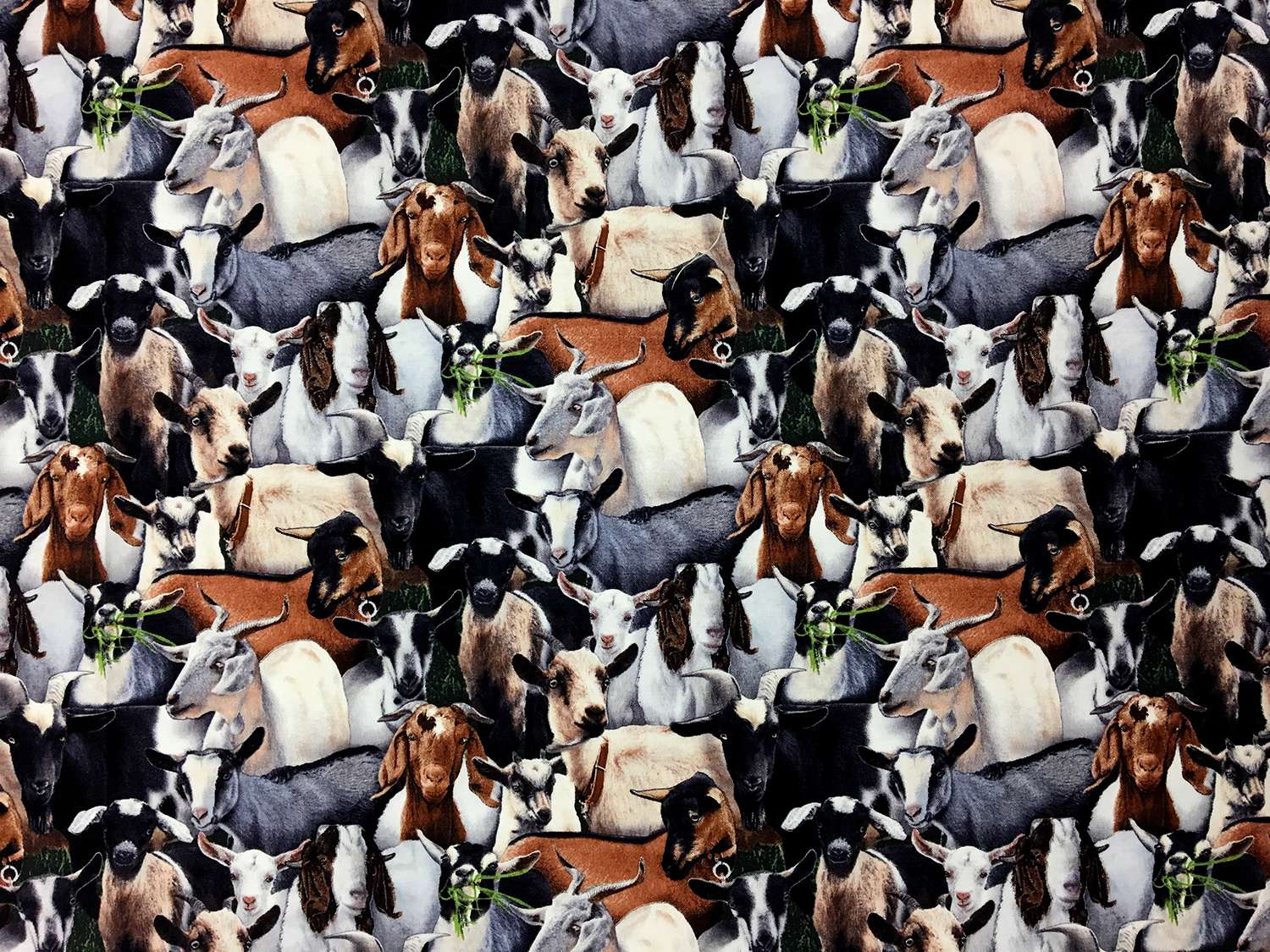 Cotton Broadcloth Print 0