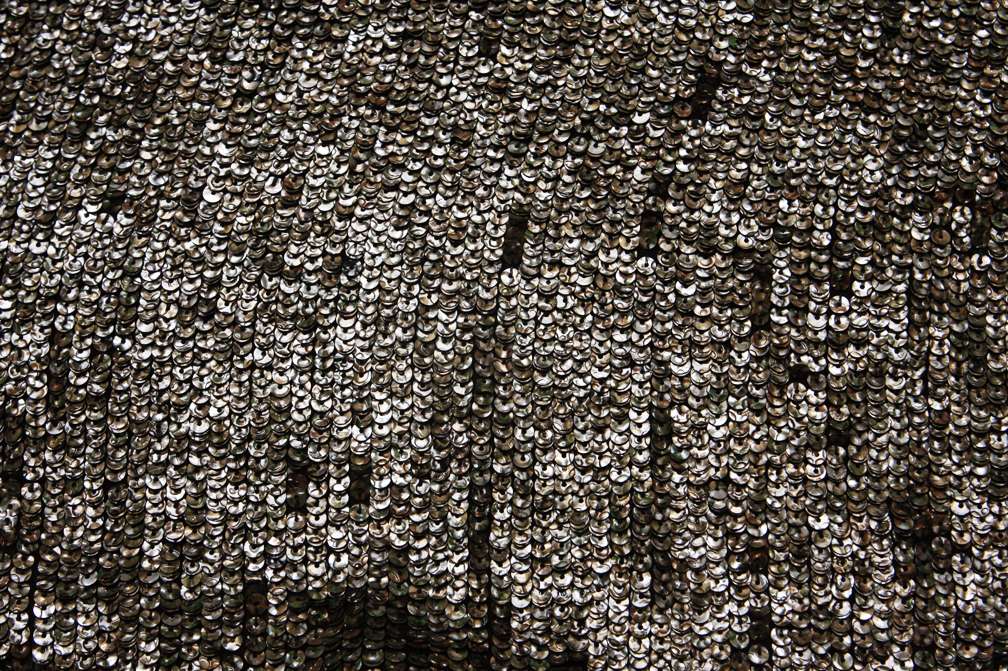 Sequins on Silk Chiffon0