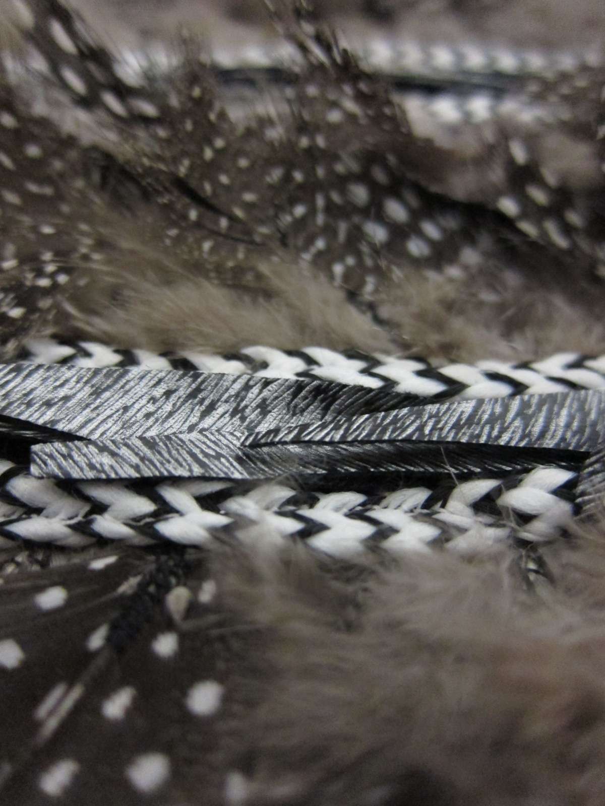 Novelty Feathers2