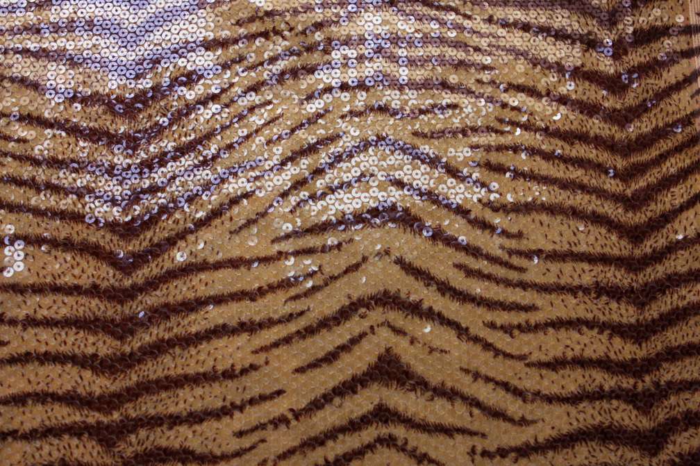 Sequins on Chiffon0