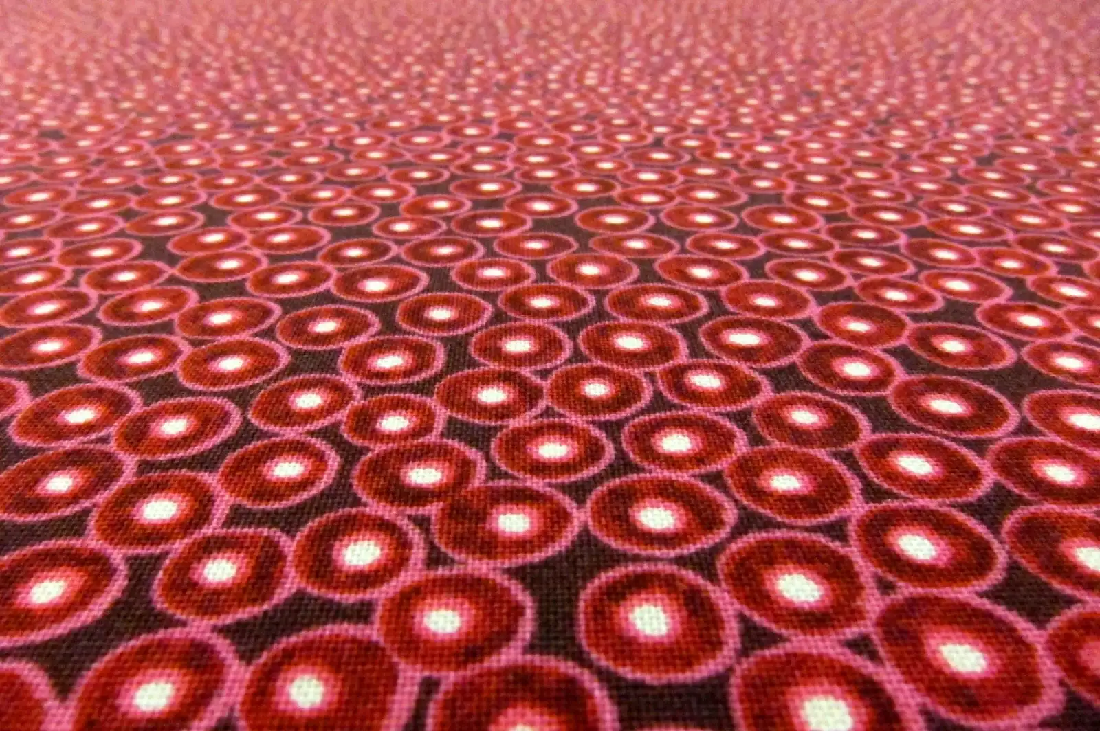 Cotton Broadcloth Print2