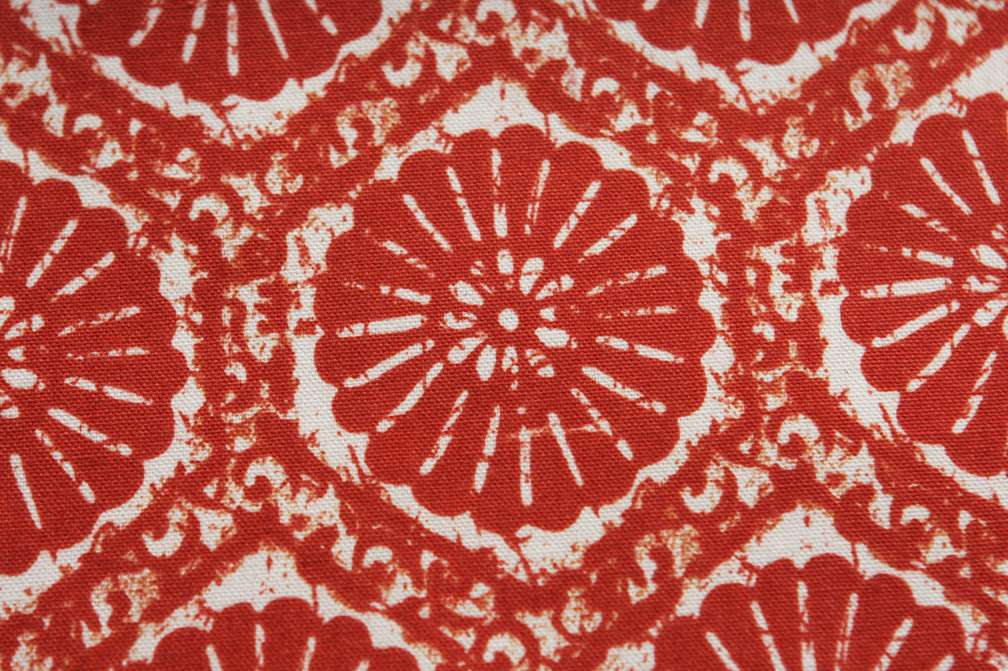 Printed Cotton Canvas2