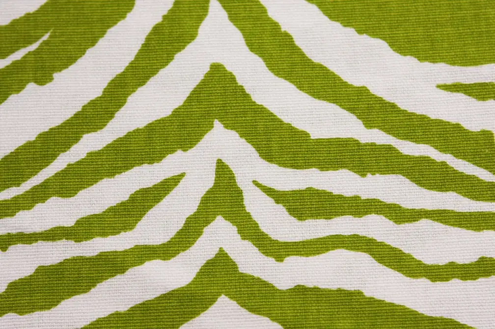 Printed Cotton Canvas2